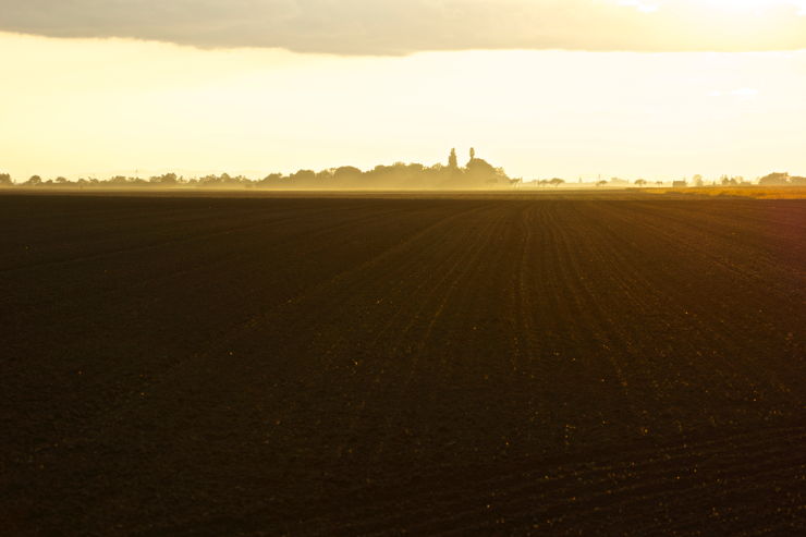 Dämmerung im Marchfeld / Weinviertel / Niederösterreich: zwischen Leopoldsdorf und Lassee